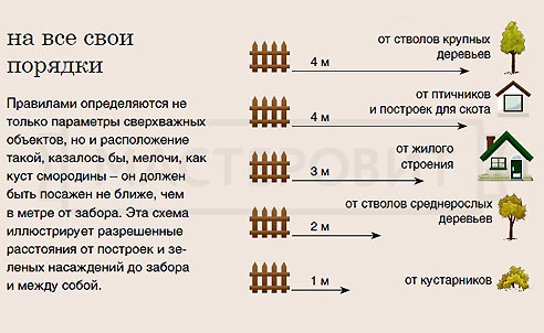 Требования СНиП к размещению зеленых насаждений