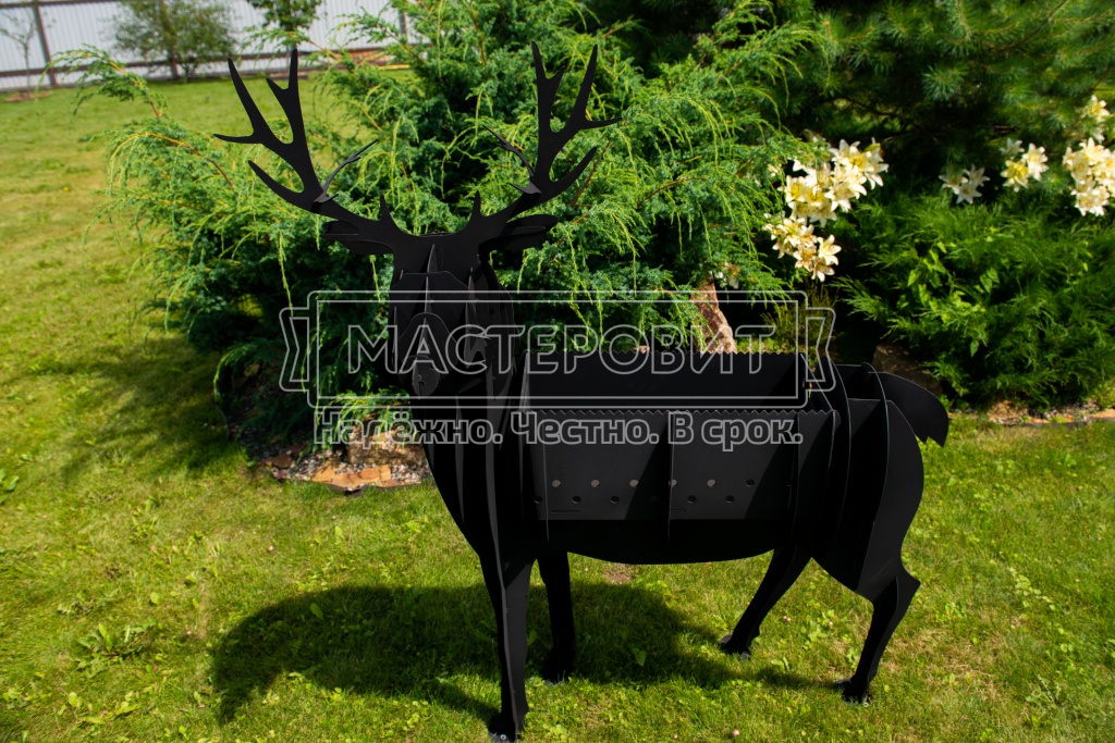 Deer 1 1185.jpg