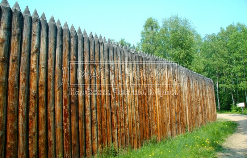 Фотография № 1: классический тын Фотография № 1: классический тын