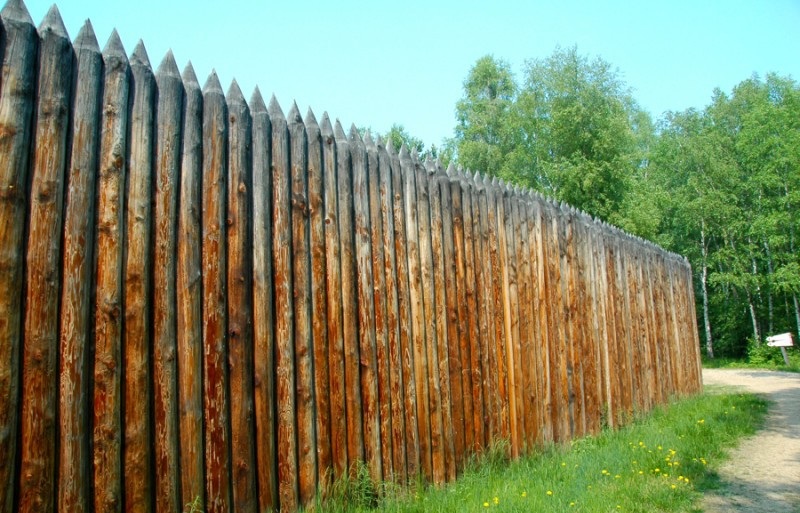 Фотография № 1: классический тын Фотография № 1: классический тын