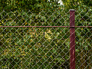Забор из  сетки рабица №04